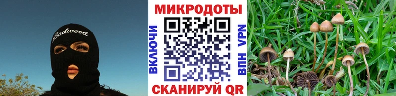 Псилоцибиновые грибы Psilocybine cubensis  Купить закладки  Бикин 