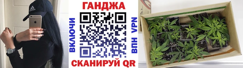 Бошки марихуана сатива  Купить  Бикин 